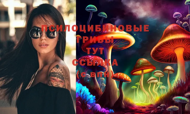 Псилоцибиновые грибы Cubensis  OMG как зайти  Волосово 